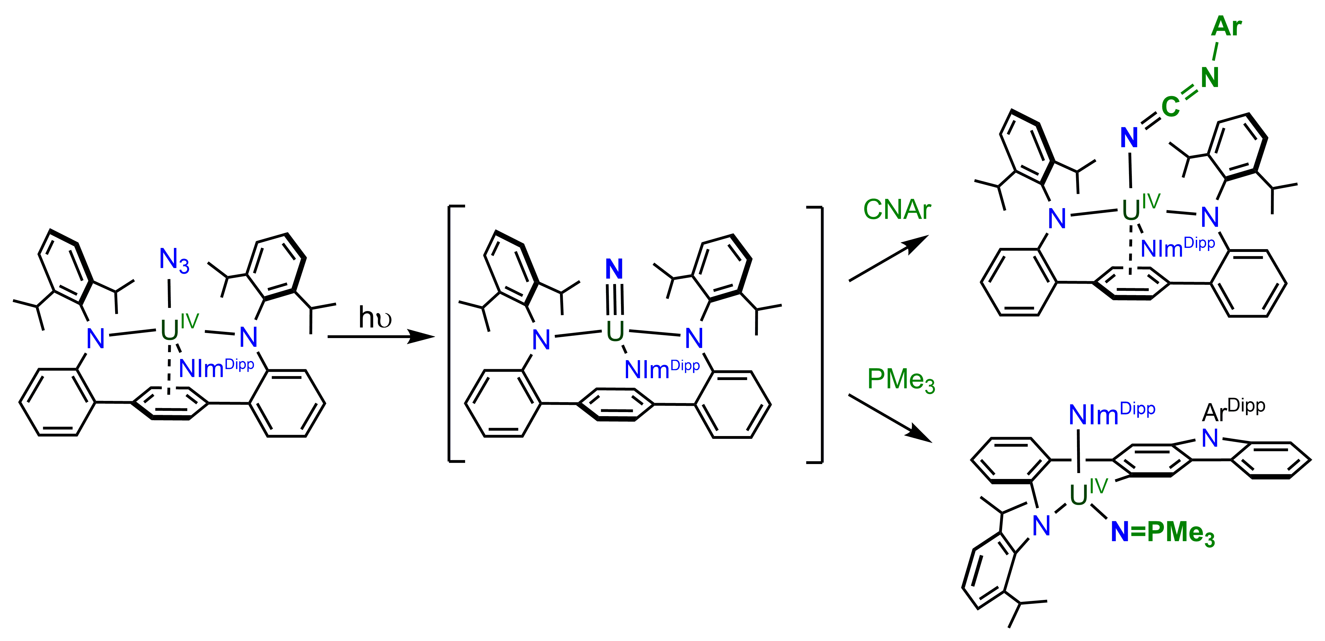 TOC graphic for publication 39